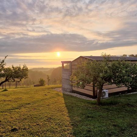 Vinea Panonika Wine & Mind Retreat Villa Radenci Ngoại thất bức ảnh