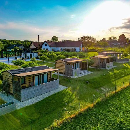 Vinea Panonika Wine & Mind Retreat Villa Radenci Ngoại thất bức ảnh