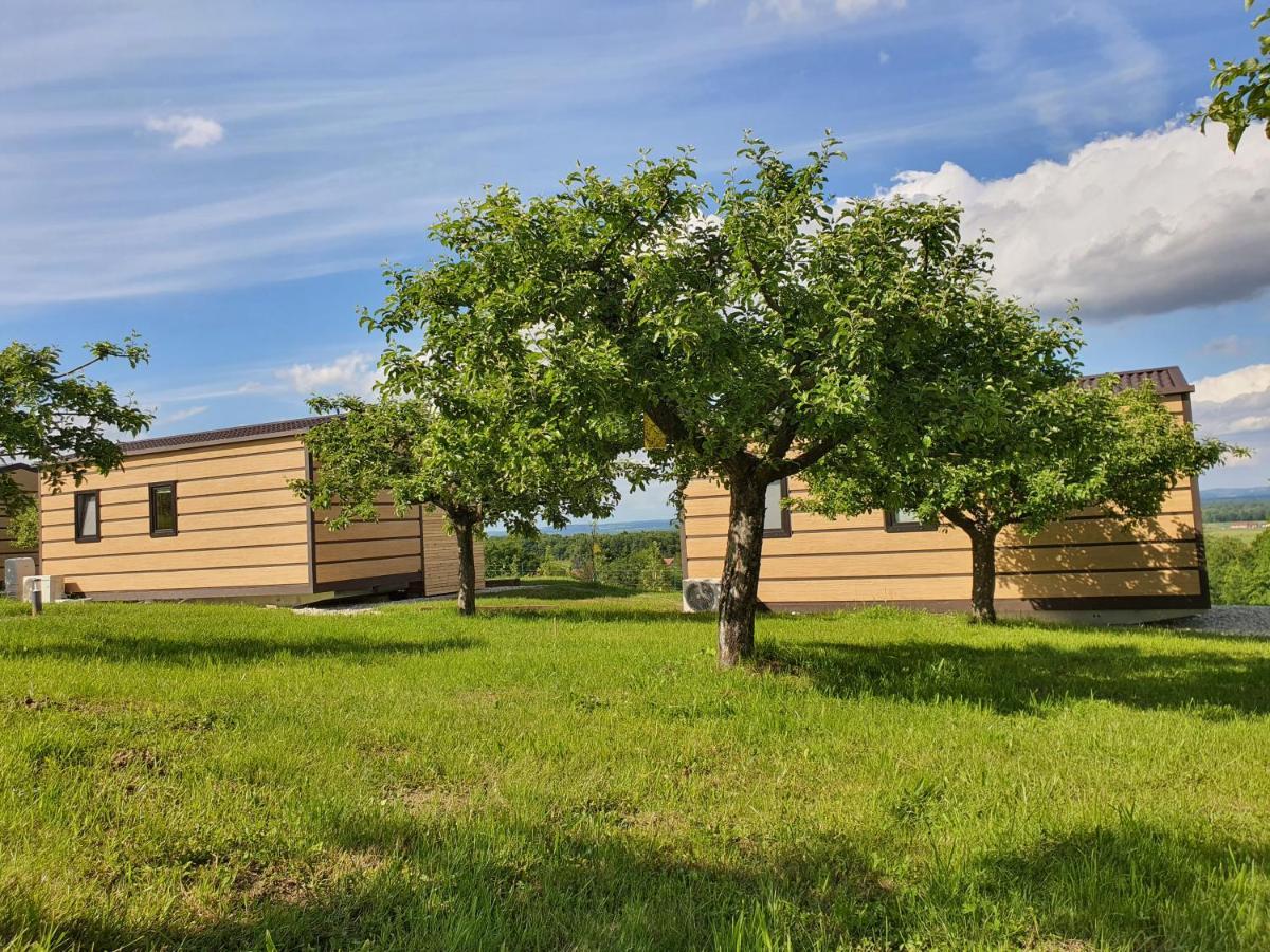 Vinea Panonika Wine & Mind Retreat Villa Radenci Ngoại thất bức ảnh