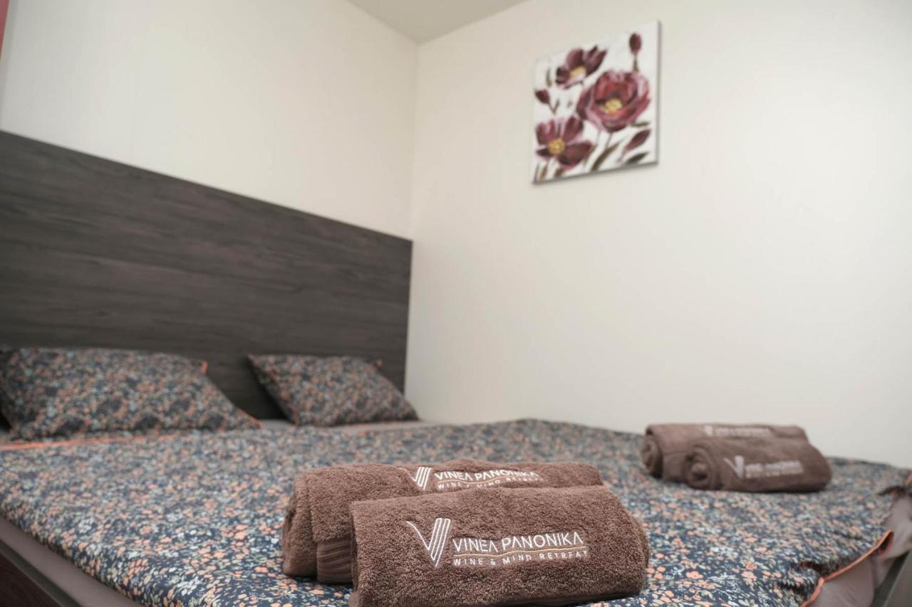 Vinea Panonika Wine & Mind Retreat Villa Radenci Ngoại thất bức ảnh