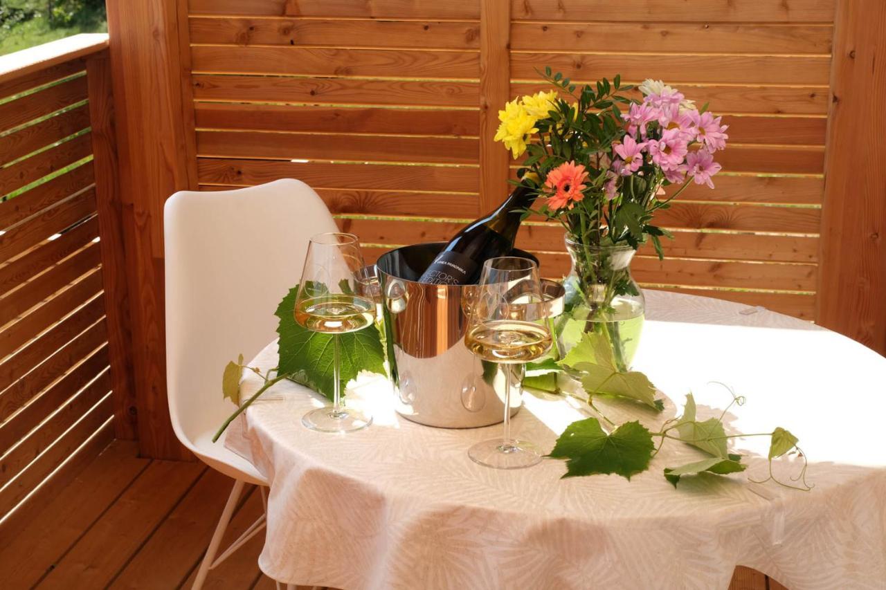 Vinea Panonika Wine & Mind Retreat Villa Radenci Ngoại thất bức ảnh
