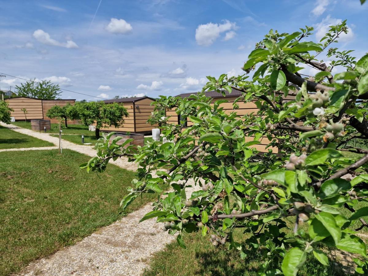 Vinea Panonika Wine & Mind Retreat Villa Radenci Ngoại thất bức ảnh